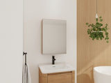 20'' Bathroom Mirror Cabinet with Storage,Wall Mounted Medicine Cabinet with Mirror Door,Adjustable W999P470282