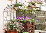 2 Pack 16" x 61" Rustproof Iron Garden Trellis 96760539
