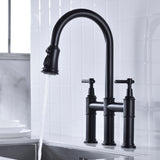 Pull Down Double Handle Kitchen Faucet 15569694