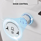 Smart Toilet Bidet Combo with Self-Cleaning Nozzle,Upmarket Compact Dual Flush Toilet 1/1.28 WF314231AAA