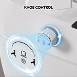 ZUN Smart Toilet Bidet Combo with Self-Cleaning Nozzle,Upmarket Compact Dual Flush Toilet 1/1.28 WF314231AAA