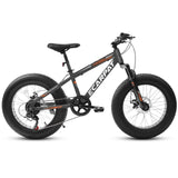 ZUN A20316 20 inch Fat Tire Bike Adult/Teen Full Shimano 7 Speed Mountain Bike, Dual Disc Brakes, High W709P185460