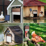 ZUN Automatic Chicken Coop Door SolarPowered Chicken Door LCD Displayand Roll-up Door Anti-pinch 87552342