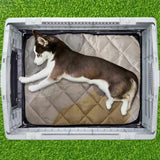 33 inch Large Plastic Dog House, Indoor Outdoor Doghouse Pet House with Air Vents and Elevated 55267204