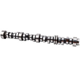 Engine Camshaft fit for Chevrolet fit for GMC fit for Hummer 2008-2013 12625437 12689035 04494647
