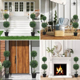 Artificial Plant/Green plants 01664349