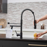 Commercial LED Kitchen Faucet with Pull Down Sprayer, Single Handle Single Lever Kitchen Sink Faucet W1932P155918