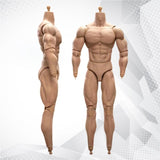 1/6 Scale BD003 Muscular Male Action Figure Body fit for Soldier Head 07542677