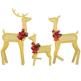 3-Piece Lighted Christmas Reindeer Family Set Outdoor Decorations, Weather Proof 2D Deer Family Set 95517130