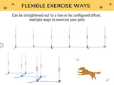 Dog Outdoor Exercise Training Set 84026797