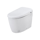 ZUN Smart Toilet Bidet Combo with Self-Cleaning Nozzle, Heated Seat, Night Light, Knob Control, Power W1219P262872