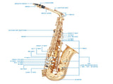 Alto Saxophone E-Flat Alto SAX Eb with 11reeds, case,carekit,Gold Color for 30684206