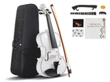 Full Size 4/4 Violin Set for Adults Beginners Students with Hard Case,Violin 67556095