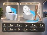 Smart Toilet With Bidet Built In Tank, One-piece Bidet Toilet Seat, Auto Flush, Auto W3598P573064