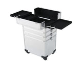 4-in-1 Draw-bar Style Interchangeable Aluminum Rolling Makeup Case Silver 11970627