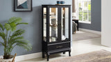 Lighted Curio with Glass Doors and Adjustable Shelves 2 Door Wine Display Curio W1758P297546