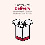 14 in. Hybrid Plush King Size Foam Mattress, Soft Polyester Knit Cover, Multi-Layer Foam Mattress, B011P203027