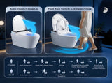 Smart Toilet With Bidet Built In Tank, One-piece Bidet Toilet Seat, Auto Flush, Auto W3598P573059