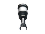 Front Air Suspension Shock 02-09 Jaguar Super V8 Vanden Plas XJ XJ8 XJR 4.2 55371370