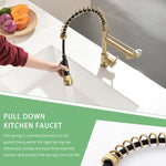 ZUN Commercial Kitchen Faucet with Pull Down Sprayer, Single Handle Single Lever Kitchen Sink Faucet W1932P155916