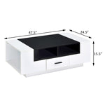 ZUN White and Black Coffee Table with Storage B062P181386