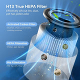 1350 Sq Ft Air Purifiers for Home Large Room Pets H13 83998773