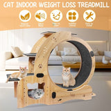 Cat Wheel 6-in-1 Cat Exercise Wheel,Upgraded Cat Wheel Exerciser for Indoor Cats,Large Cat W1790133437