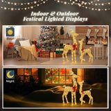 2-Piece Lighted Christmas Deer Family, Outdoor Yard Decoration Set with 210 LEDs Warm White Light, 32994196