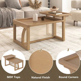 Modern 2 Piece Nesting Rattan Wood MDF Coffee Table Set in Natural N735P176285D