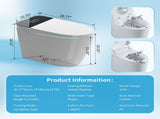 Tankless Smart Toilet With Bidet Built In, One-piece Bidet Toilet Seat, Auto Flush,Heated Seat, Warm T5879P486659