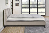 12-inch Eastern King Highly Breathable Quilted Cover Hybrid, White, Plush Foam B011P213355