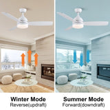 ZUN Smart 48 in. integrated LED Balck Ceiling Fan with Remote Contorl and Plywood Blades W1367135046