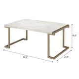 ZUN White and Champagne Sled Base Coffee Table B062P181381