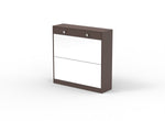 ZUN Mirror Shoe Cabinet with 2 Tier Drawers, Mirror Shoe Rack With 1 Drawer Storage, Mirror Shoe W760P206336