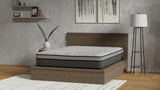 Hybrid 12 Inch Medium Firm Queen Mattress with Pocketed Coils B047P321032