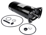 Swimming Pool Motor USQ1152 Square Flange 1.5 HP Brand New Single Speed 3450 RPM 60 HZ 115/230 Volts 10853054