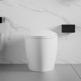 ZUN Unique Smart Toilet with Bidet Built In, Intelligent One Piece Toilet For Modern Bathroom, Auto W2826P230233