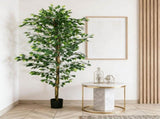 Artificial Plant/Green plants 18700852