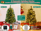 4 Feet Potted Christmas Tree 08613789