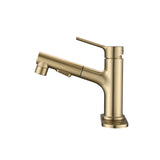 Bathroom Faucet with Pull Out Sprayer, Single Handle Modern Bathroom Basin Faucet with Pop-up W1224P290215