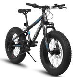 ZUN A20316 20 inch Fat Tire Bike Adult/Teen Full Shimano 7 Speed Mountain Bike, Dual Disc Brakes, High W709P185464