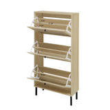 Rattan 3 Door Shoe Rack, Freestanding Modern Shoe Storage Cabinet, for Entryway W688P211253