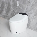 ZUN Smart Toilet with Bidet Built in, Smart Bidet Toilet Seat with AUTO Open&Close and Remote Control, 10659256