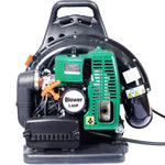 ZUN 2-STROKE BACKPACK LEAF BLOWER,GAS 63.3cc,3.6HP 750CFM W46551395