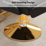 Professional Hydraulic Barber Chair - 360&deg Swivel with Adjustable Height, Stainless Steel Armrests & W2700P318167