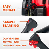 Backpack Gas Leaf,76CC,660CFM,200MPH ,4 Stroke Air Cooling Gas Backpack Grass,Snow W1676114807