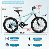 A20261 20 inch Children's Bicycle, Shock Absorbing Front Fork, 21 - Speed, V - brakes, Mountain W2563P295767