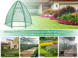 Hexagonal Mini Greenhouse with Zipper Door & Roll-Up Window, PE Cover Outdoor Plant House 10144158