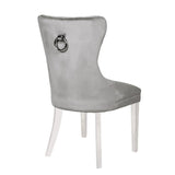 Erica 2 Piece Stainless Steel Legs Chair Finish with Velvet Fabric in Light Gray 808857825940