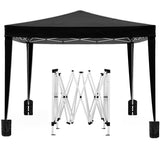 ZUN 10'x10' Folding Canopy with 4 Removable Sidewalls Outdoor Event Shelter UPF 50+ Gazebo Portable W2185P194757